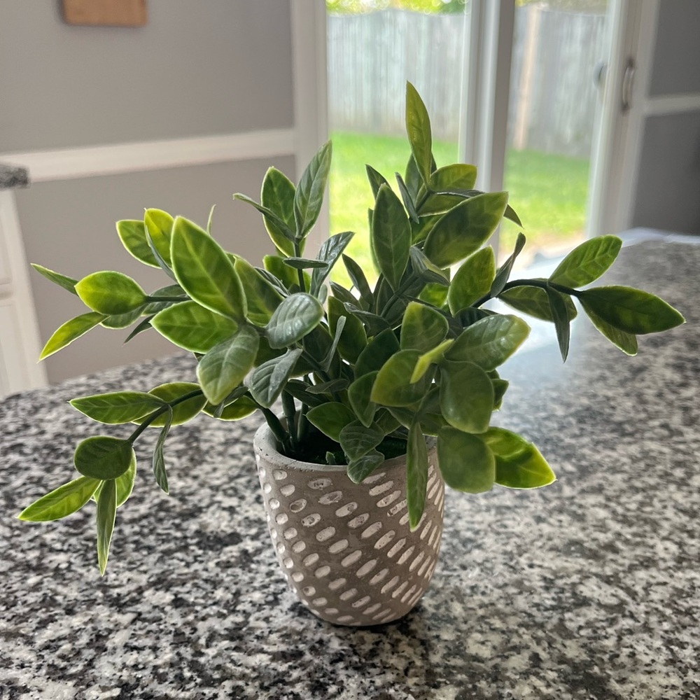 Faux plant 1